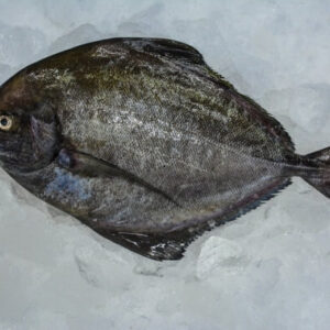 black-pomfret