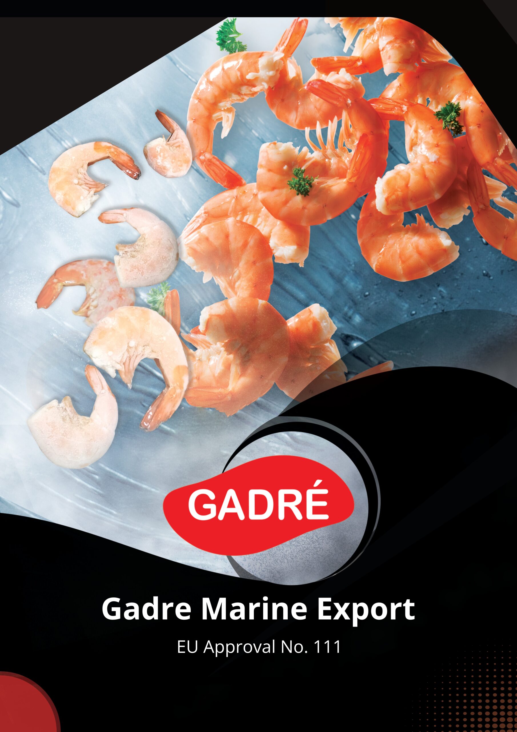 Company Brochure